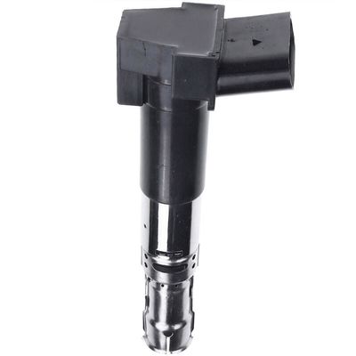 066905100C エンジン部品 VW PASSAT B5.5 ステート (3B6) の点火コイル